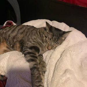 Meet your Posher, Evan